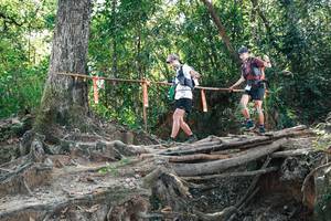 BIB: 
                            <button type="button" onclick="openModal(27744462)" class="btn btn-primary btn-sm float-right btn-popup" data-toggle="modal" data-target=".modal-high-quality">
                        <i class="fas fa-shopping-cart"></i> Add to Cart
                    </button>
                                            <button type="button" onclick="isThisMe(27744462, true)" class="btn btn-success btn-sm float-right btn-popup btn-isme hidden" data-toggle="tooltip" data-placement="bottom" title="นี่คือรูปของคุณใช่ไหม คลิกที่นี่เพื่อเอาเข้าอัลบั้ม">
                        <i class="fas fa-plus"></i> Add to album
                    </button>
                    <button type="button" onclick="isThisMe(27744462, false)" class="btn btn-warning btn-sm float-right btn-popup btn-isnotme hidden">
                        <i class="fas fa-ban"></i> Remove from album
                    </button>